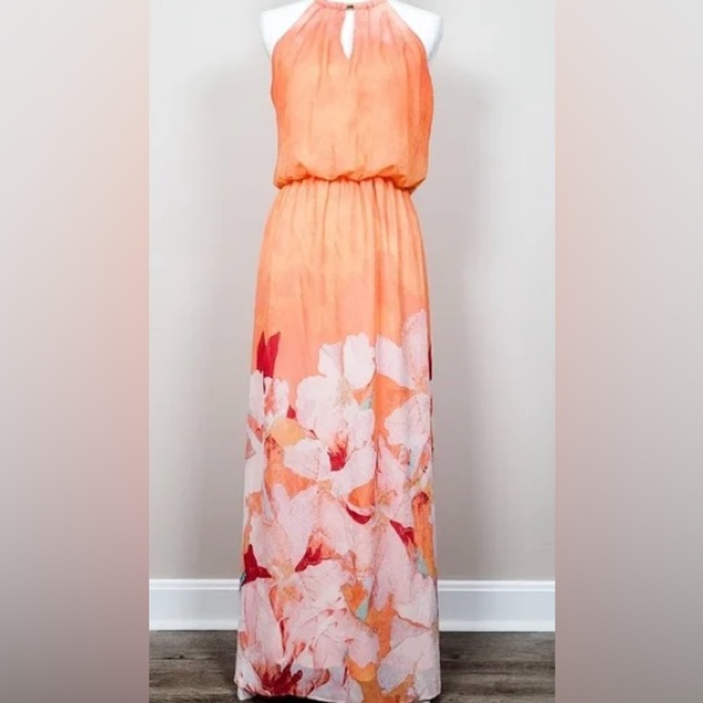 Bisou Bisou | Dresses| maxi dress size 2